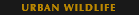 blocks_image